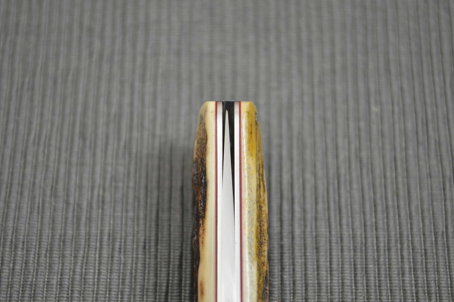 Ray Cover Slip-Joint Stag Handle Folding Knife (SOLD)