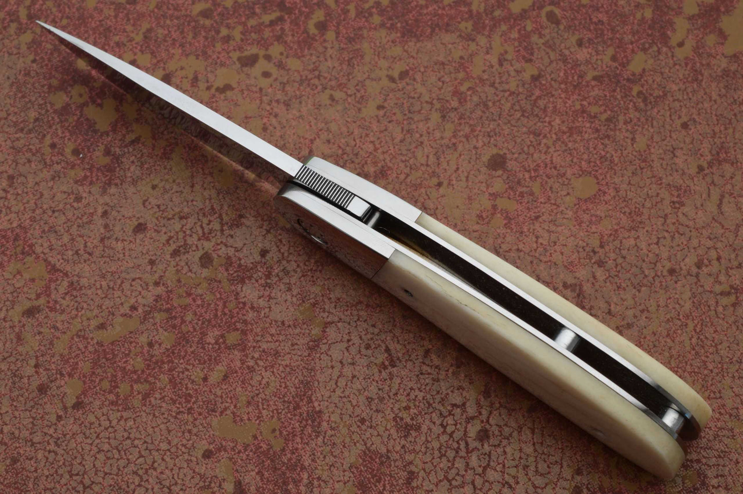 George Muller Gentleman's Warthog Tusk Front Flipper Liner-Lock Folding Knife (SOLD)