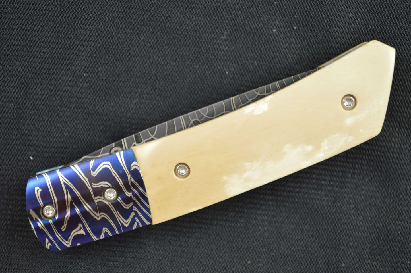 Mike Dilluvio Fossilized and Damascus Liner Lock 6.25" Folder (SOLD)