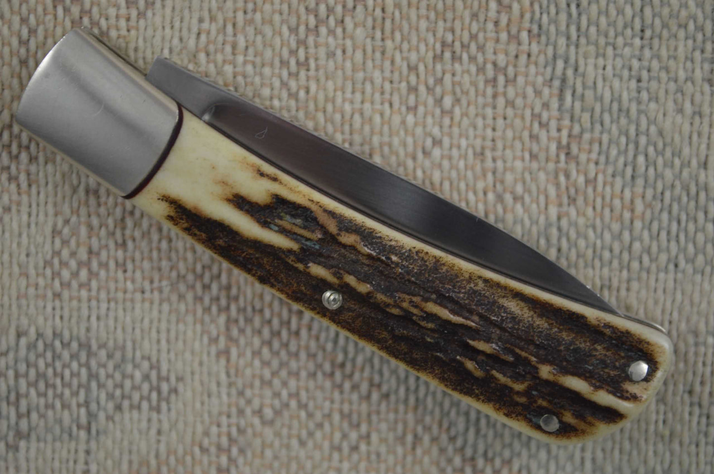 Ray Cover Slip-Joint Stag Handle Jack Knife Folding Knife (SOLD)