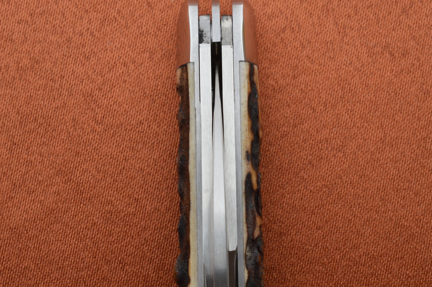 Tim Robertson 3-Blade Stag Lock-Back Whittler LBW