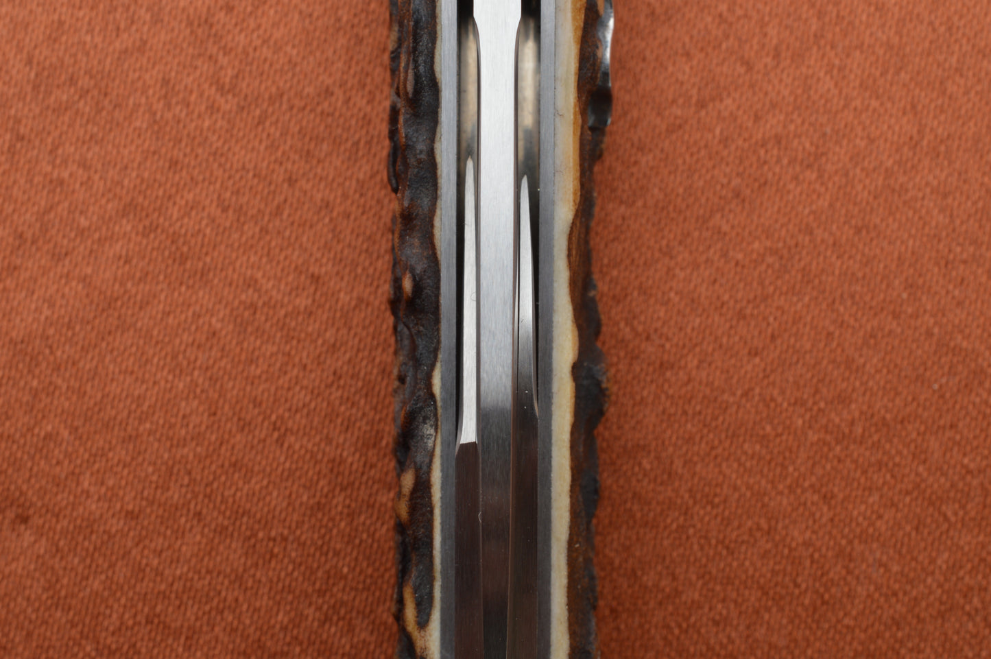 Tim Robertson 3-Blade Stag Lock-Back Whittler LBW