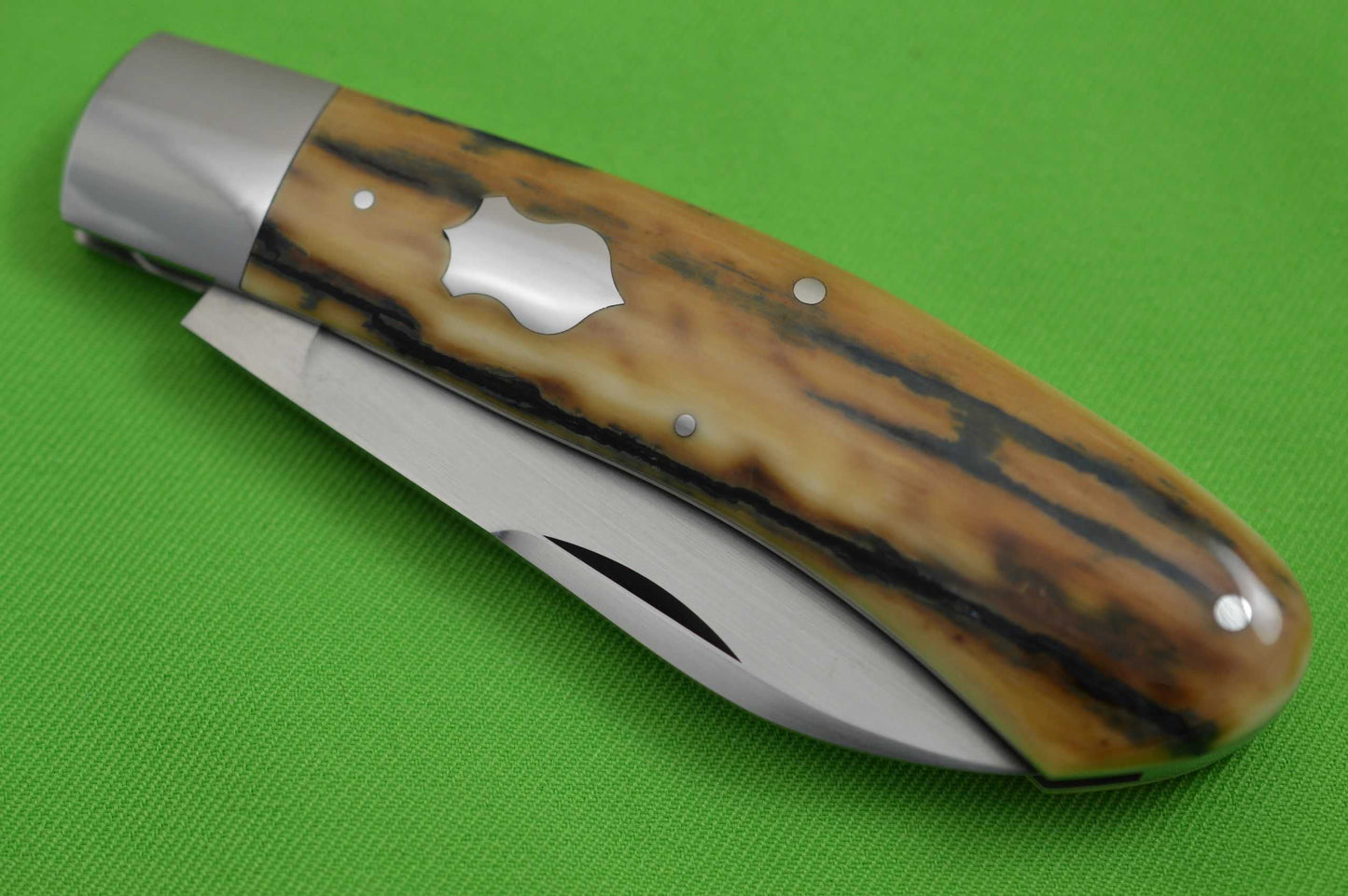 Tom Ploppert Large DINO, Slip-Joint Folding Knife, Fossilized Scales (SOLD)